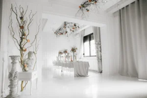 Blackberry Event Centar je prostor za odrzavanje privatnih i korporativnih zabava, organizaciju seminara, predavanja, izlozbi, promocija, prezentacija proizvoda, fotosutinga