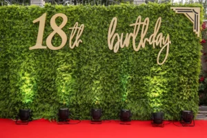 Blackberryevents projekat - 18. rodjendan Natalija