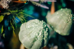 Blackberryevents projekat - Alisa u zemlji cuda