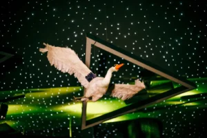 Blackberryevents projekat - Alisa u zemlji cuda