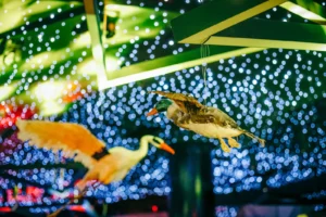 Blackberryevents projekat - Alisa u zemlji cuda