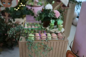 Blackberryevents projekat - Deciji rođendan Andjelija