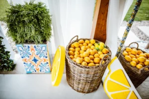 Blackberryevents projekat - Capri