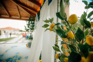 Blackberryevents projekat - Capri