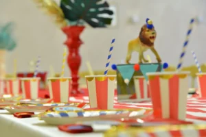 Blackberryevents projekat - Cirkus