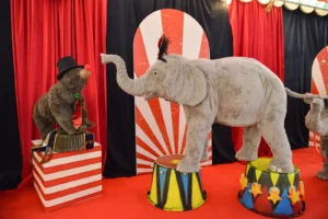 Blackberryevents projekat - Cirkus