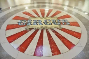 Blackberryevents projekat - Cirkus