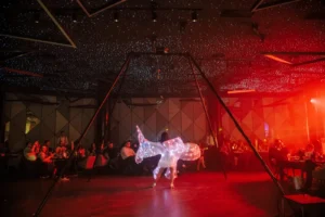 Blackberryevents projekat - Flow Ninja