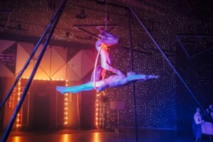 Blackberryevents projekat - Flow Ninja