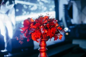 Blackberryevents projekat - Oscar Party