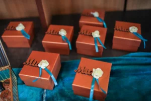 Blackberryevents projekat - Ramonda