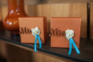 Blackberryevents projekat - Ramonda