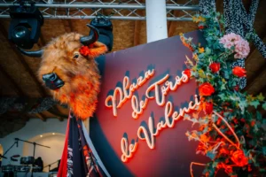 Blackberryevents projekat - Spanija