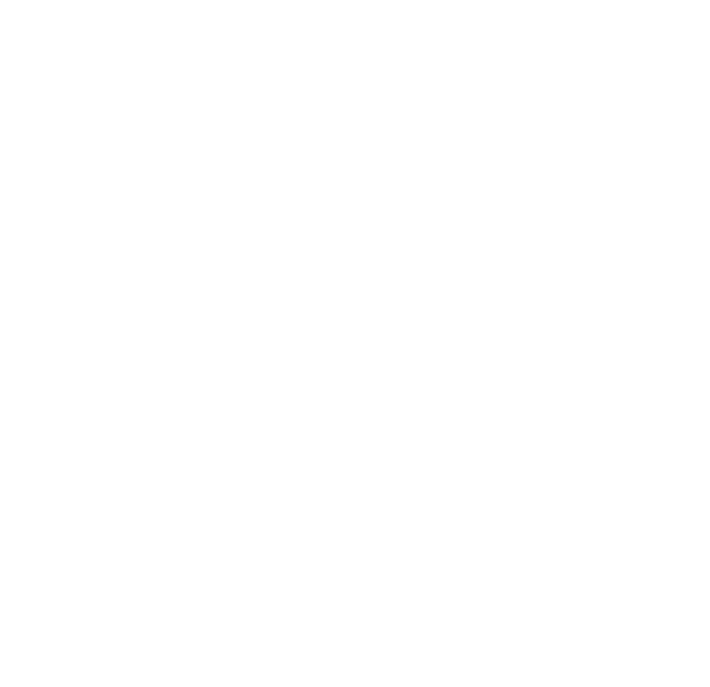 Blackberries band logo white